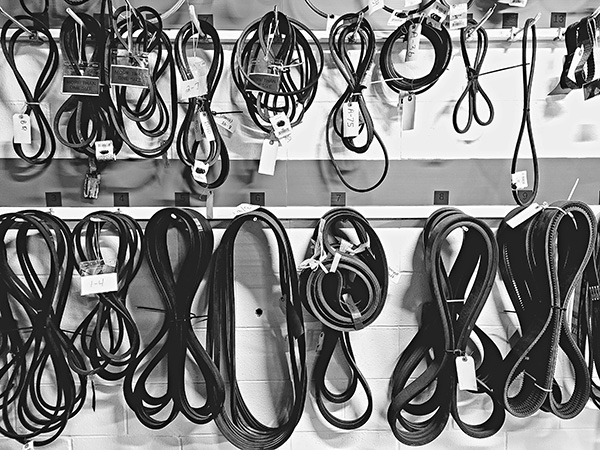 When a Squealing Serpentine Belt Is a Warning For a Problem and When It Isn’t